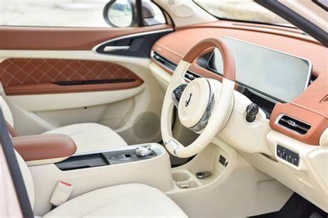 кота электротранспортов 400KM ORA 150km/h ECO автомобили дружелюбного хорошего чистые электрические