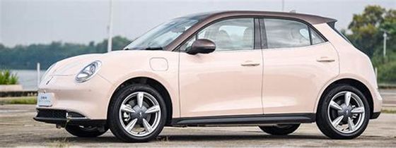 кота электротранспортов 400KM ORA 150km/h ECO автомобили дружелюбного хорошего чистые электрические