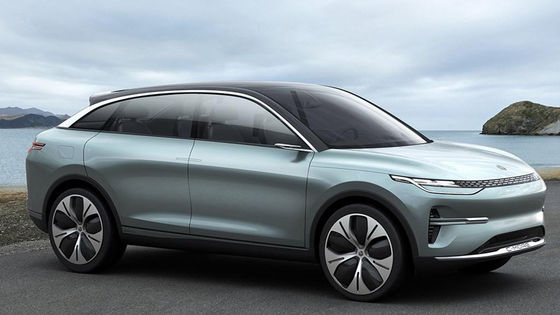 Автомобильная высокоскоростная энергия Lingpao C11 электротранспортов SUV новая для взрослых