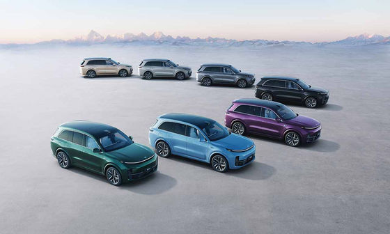 42.8kWh место электрическое SUV батареи 6