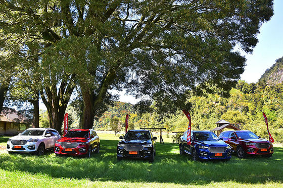 110km 4 автомобиля GWM Haval H6 DHT PHEV привода колеса электрических затыкают в гибридных автомобилях