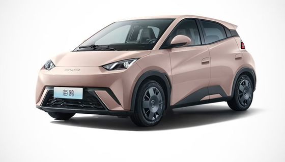 Высокая производительность в 2023 году Новый Byd Seagull EV полностью закрытый 4-колесный электромобиль