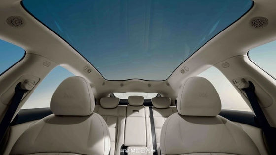 Zhiji LS6 Максимальная мощность 575 кВт Все электрические автомобили с максимальной скоростью 252 км / ч Электрические спортивные автомобили