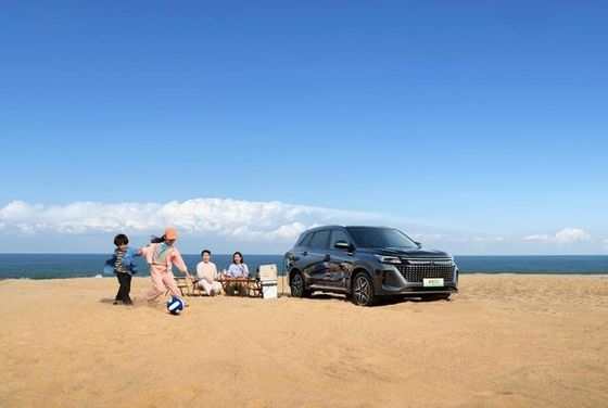 Новейший PHEV SERES высокопроизводительный средний размер 7-местный гибридный SUV SERES LANDIAN E5